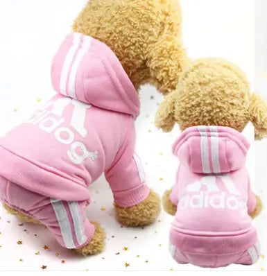 Adidog Dog tracksuit