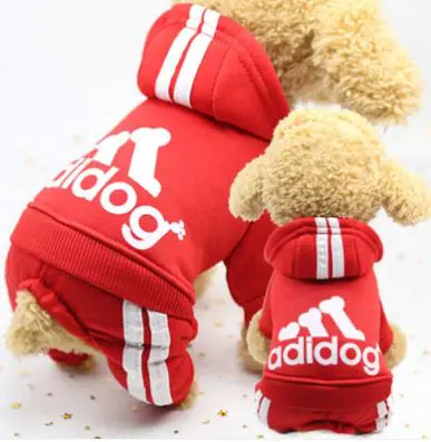Adidog Dog tracksuit