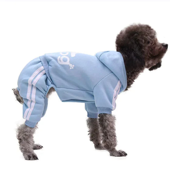 Adidog Dog tracksuit